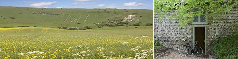 Dovecote Garden Surrounding Area